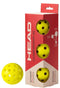 A HEAD Championship 40 Outdoor Pickleball Balls (3 Ball) box from HEAD holds three yellow balls, with one identical outdoor pickleball beside it.