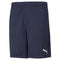 The Puma Team RISE Men's Training Shorts in blue feature an elastic waistband and are crafted from high-performance materials. The iconic Puma logo is subtly visible near the hem on the right side.